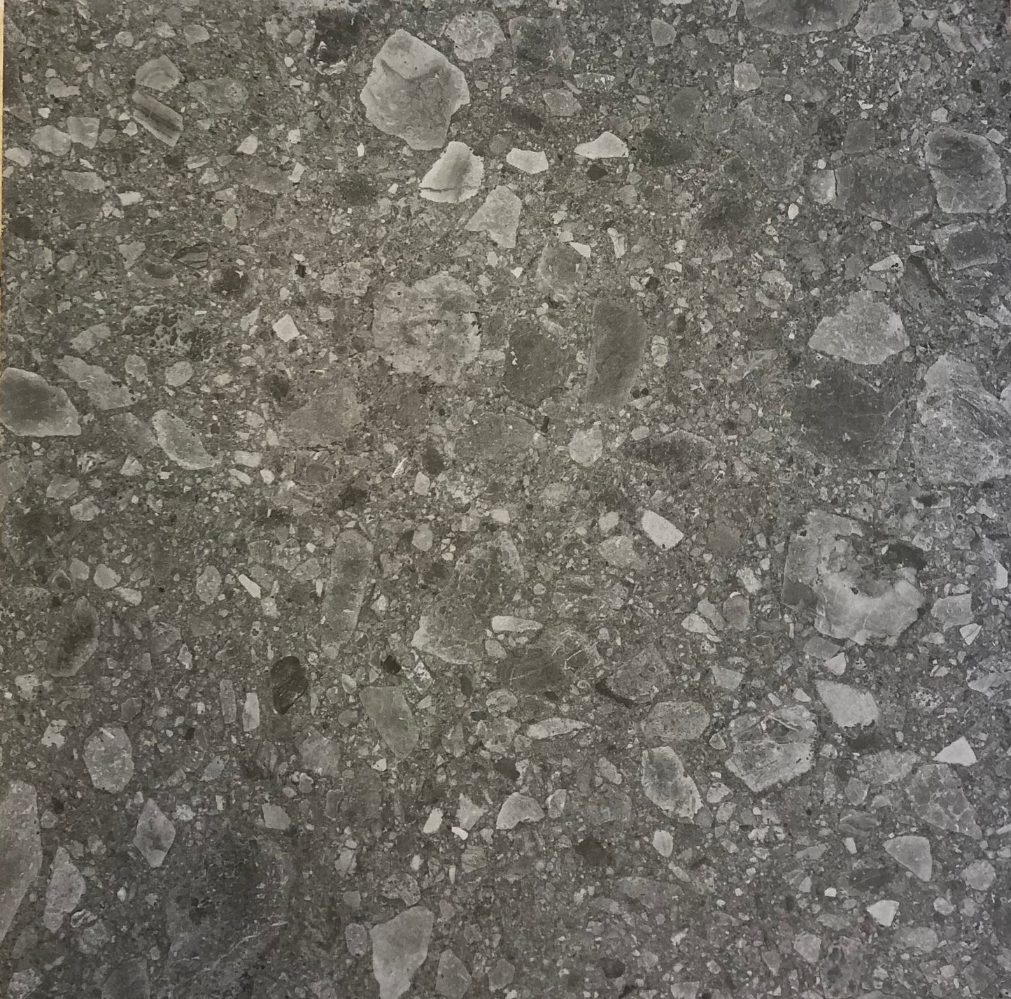 Cheppo Grey (1.44) main image