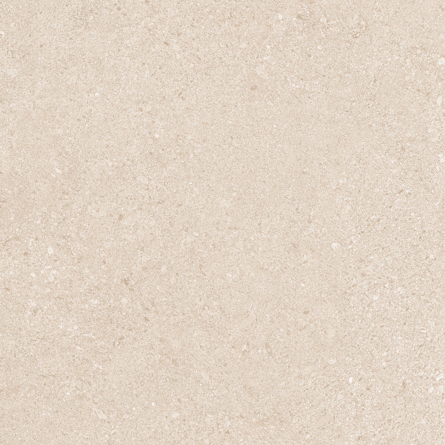 20Mm Dior Beige