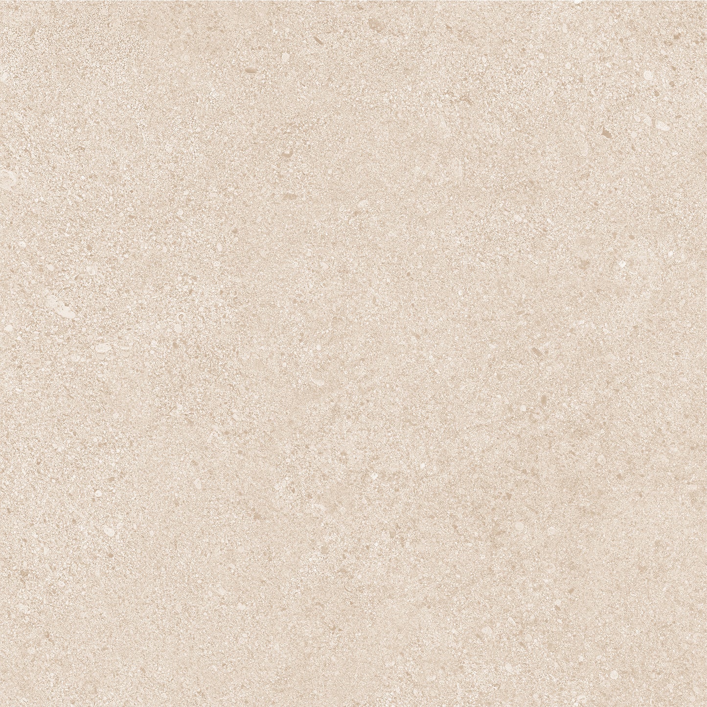 20Mm Dior Beige