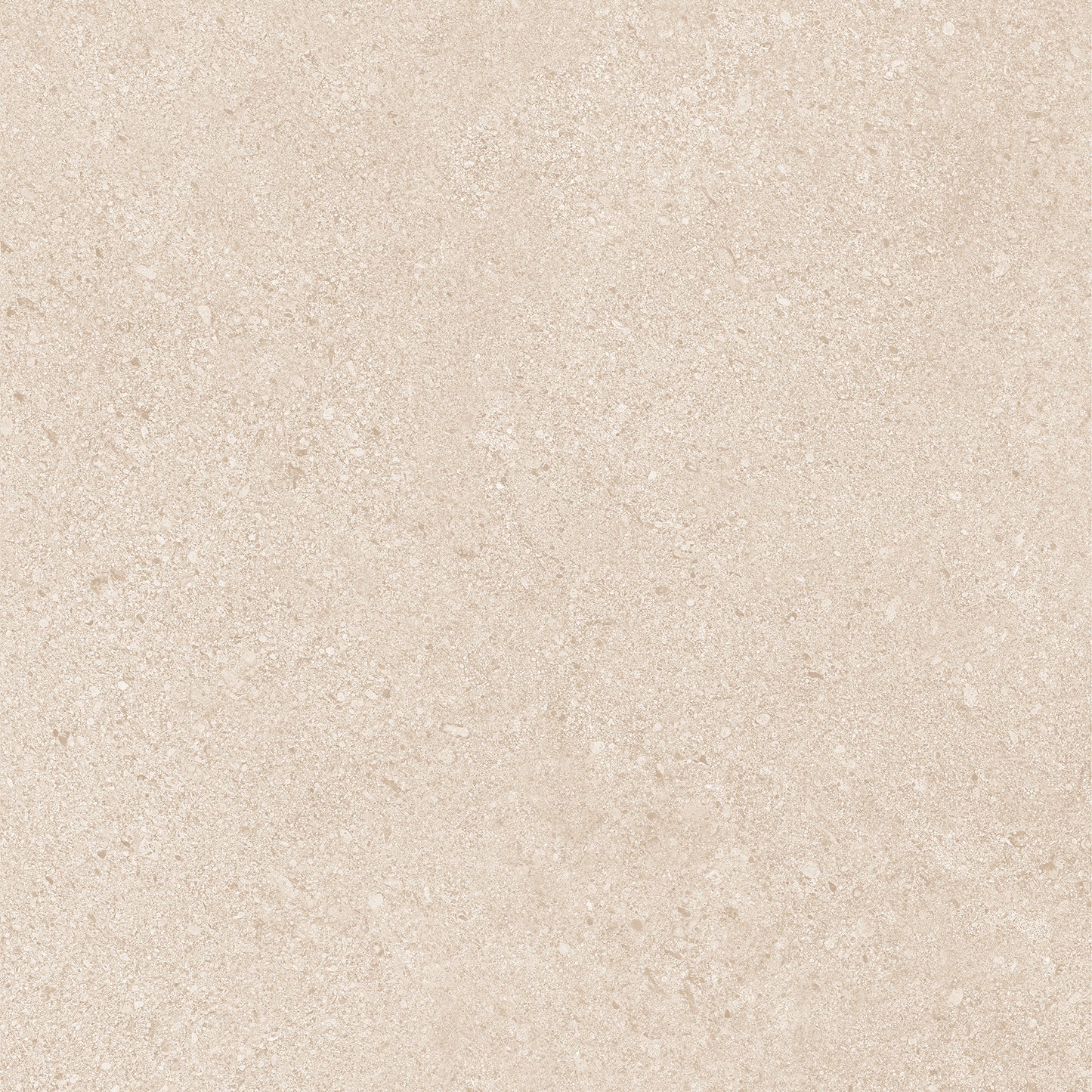20Mm Dior Beige
