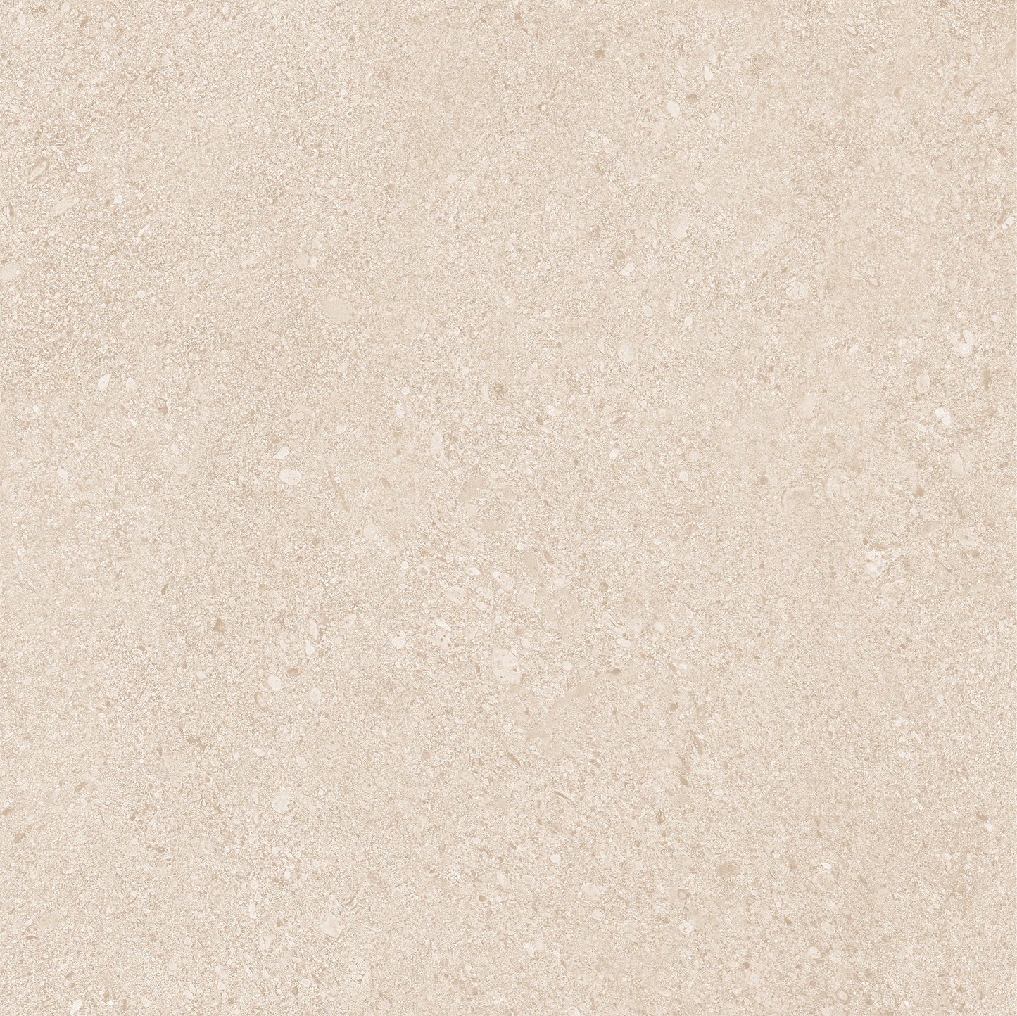20Mm Dior Beige