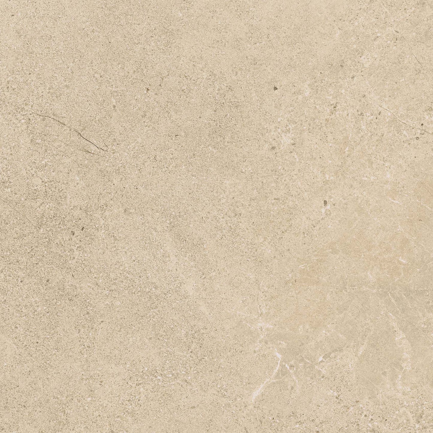 Authority Beige main image