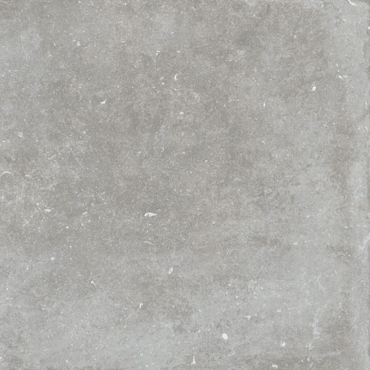 Flaviker NORDIK STONE ASH NAT. main image