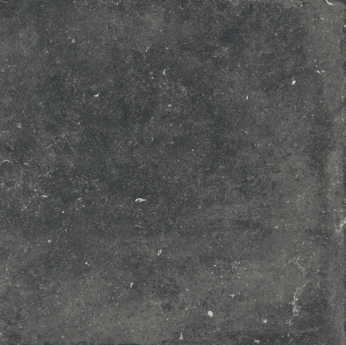 Flaviker NORDIK STONE BLACK NAT. main image