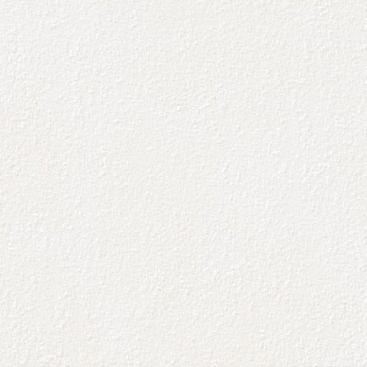 Lasselsberger BETONICO 20MM WHITE-GREY STRUCT. main image