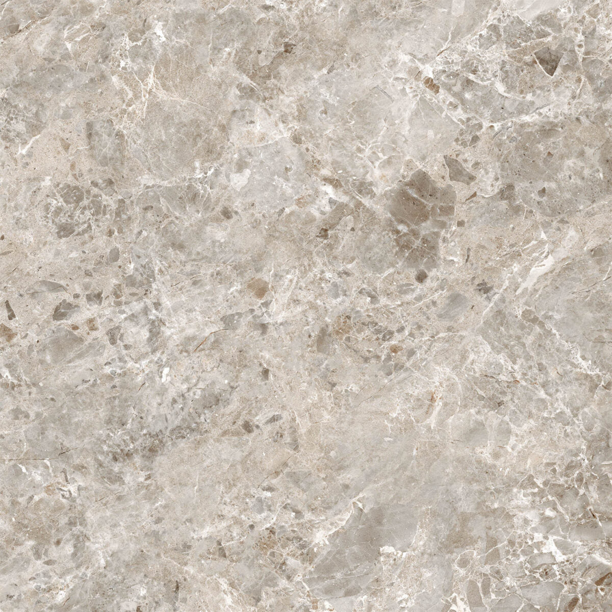 Cerdomus BRECCIA PARADISO GREY NAT. main image