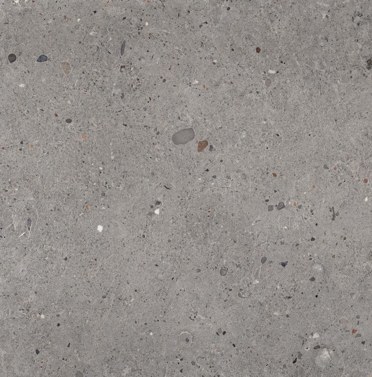 Provenza EGO GRIGIO SCURO NAT. main image