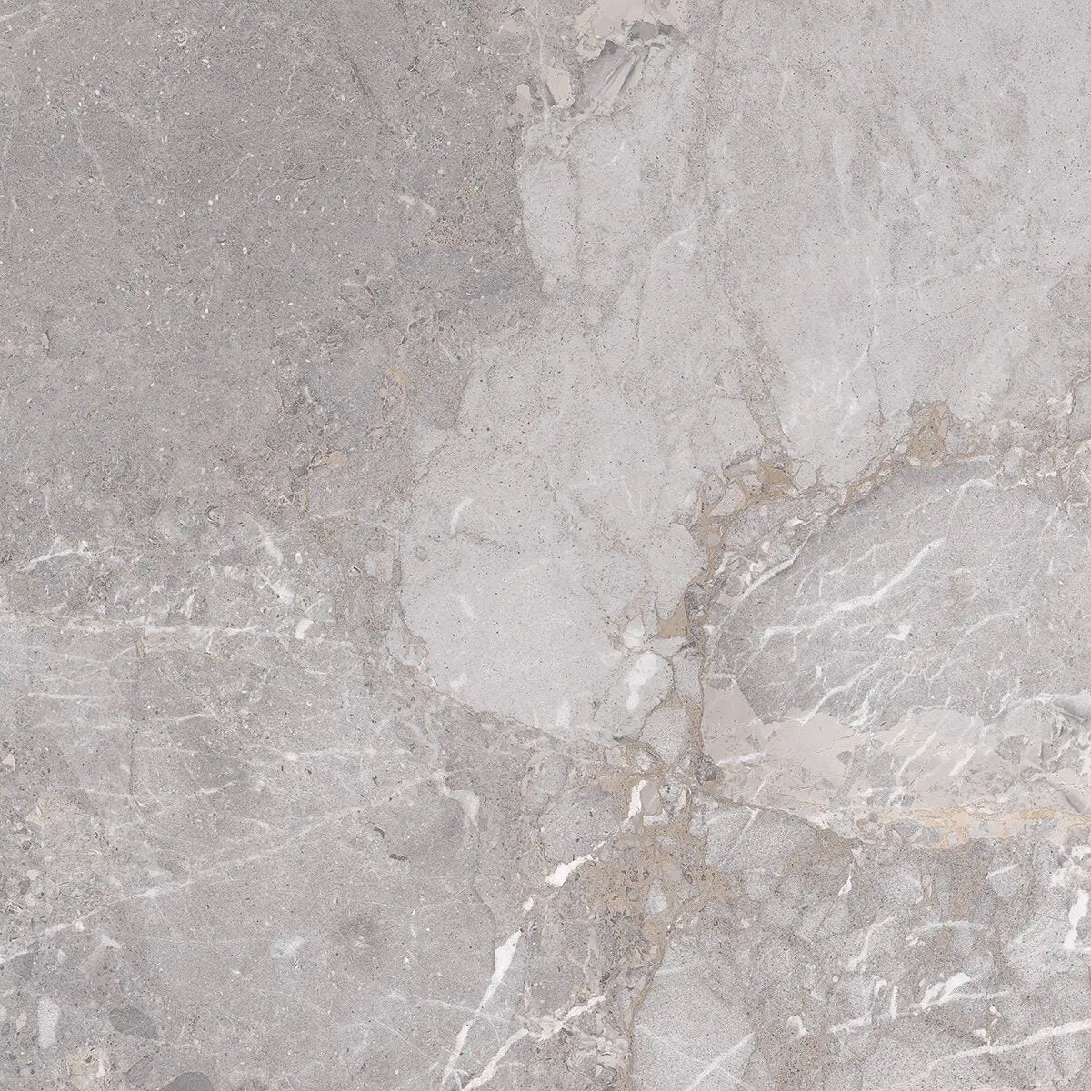 Edimax GOLDEN AGE GREY NAT. main image