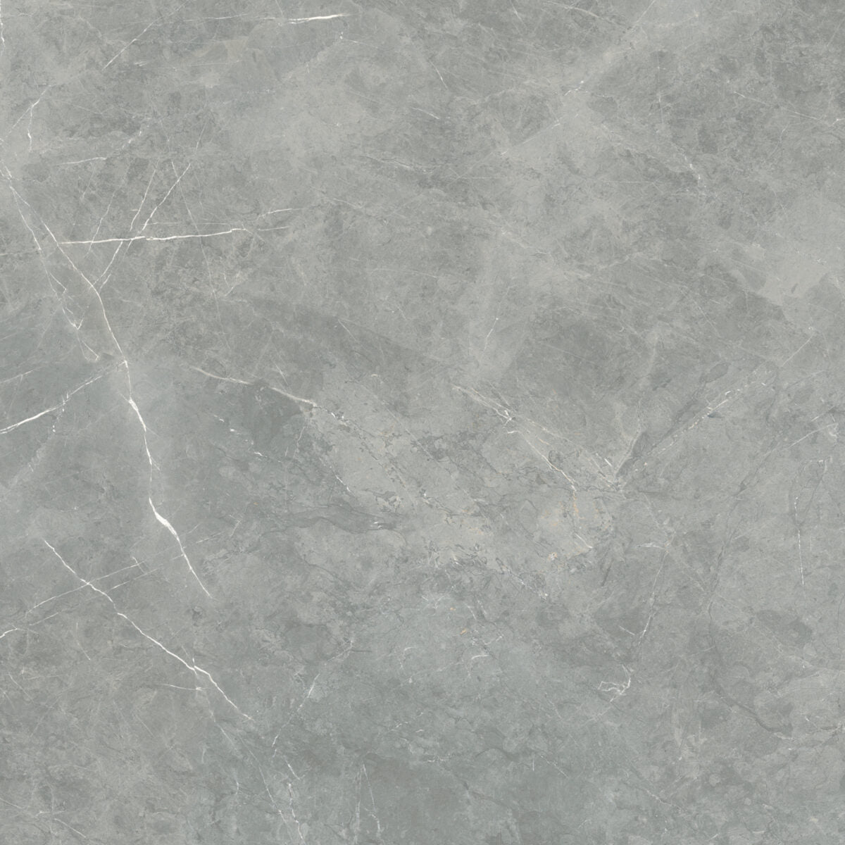 Flaviker SUPREME EVO GREY AMANI POLI main image
