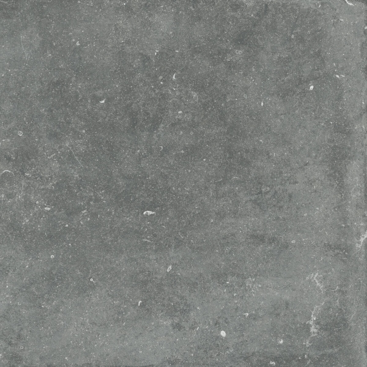 Flaviker NORDIK STONE GREY NAT. main image