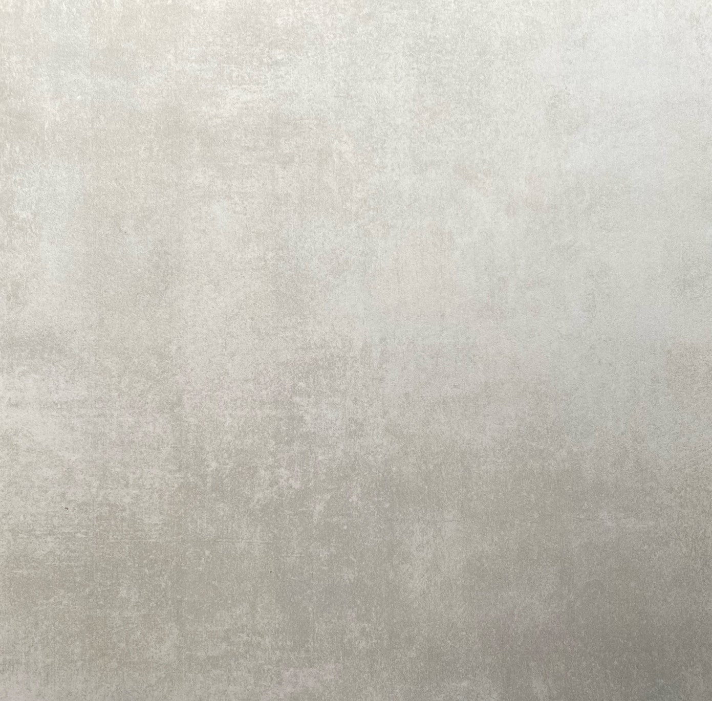 Shiba Grey