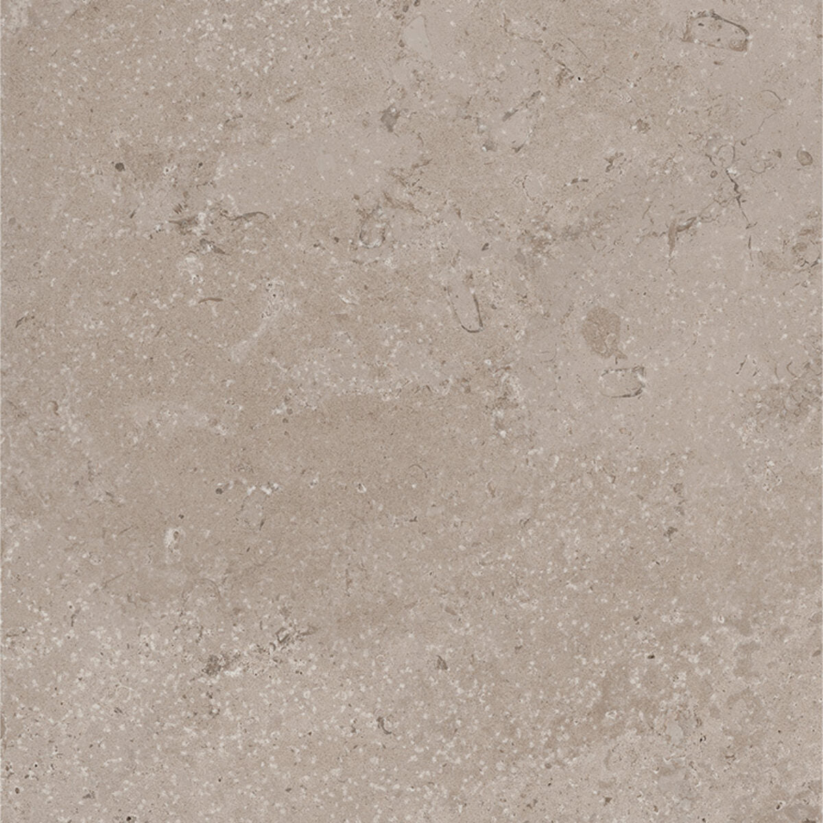 Sintesi TIMELESS TAUPE NAT. main image