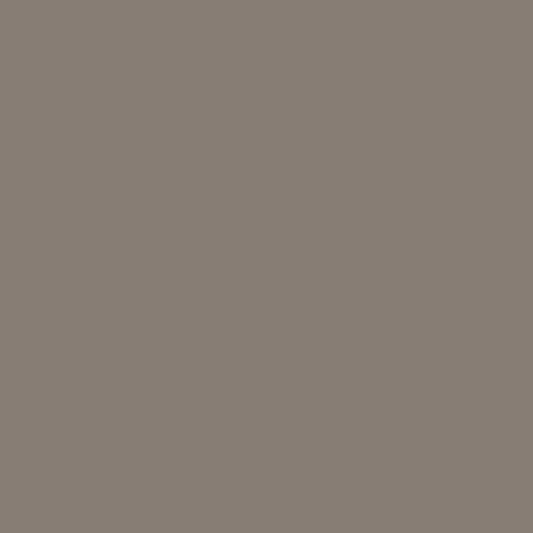 Lasselsberger TAURUS COLOR GREY NAT. main image