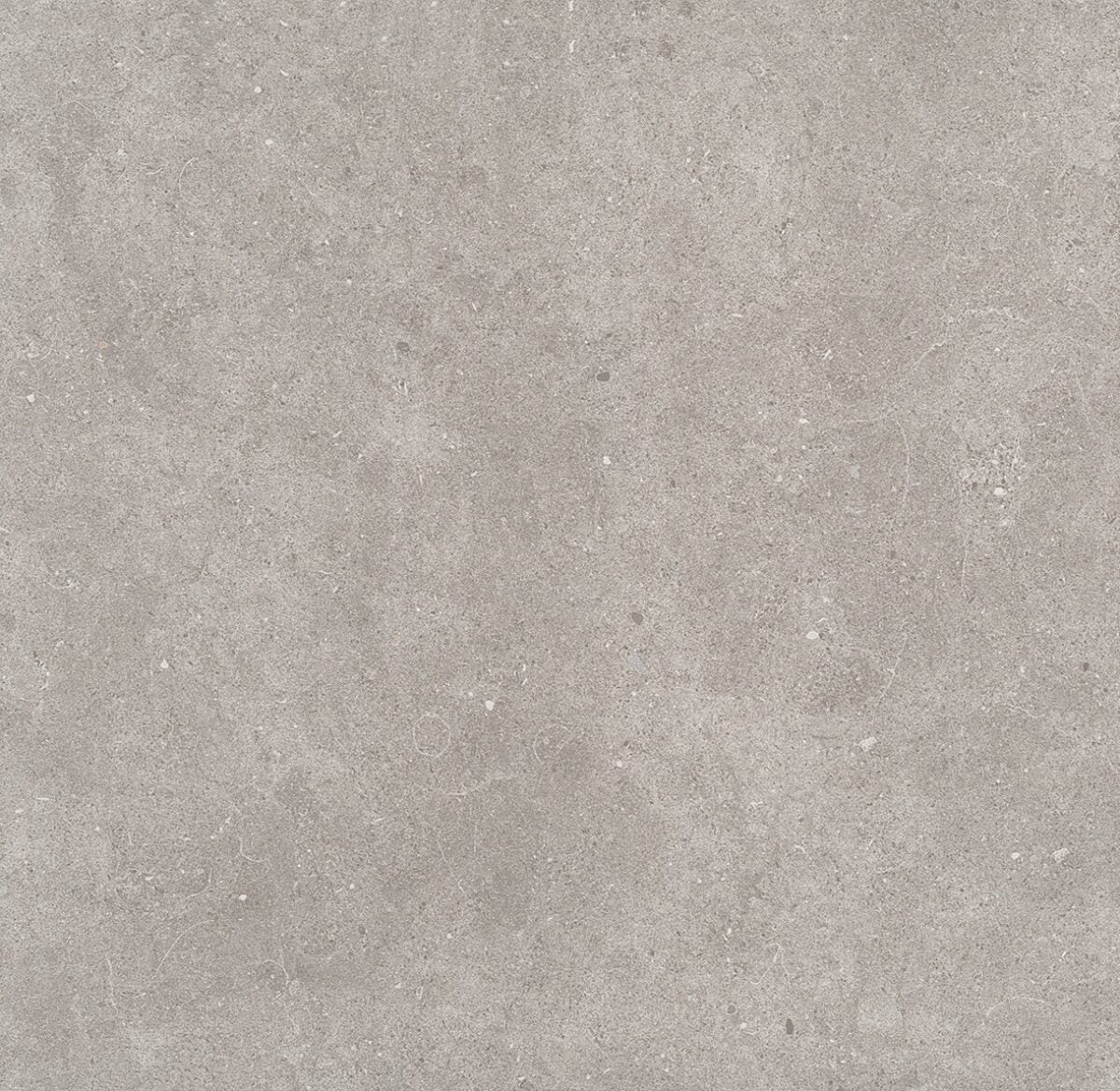 B&B Ceramiche VENEZIA GREY NAT. main image
