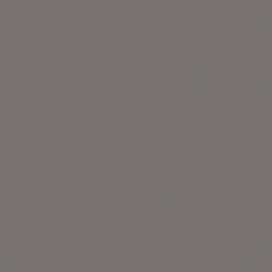 Lasselsberger COLOR ONE DONKERGRIJS BLINK. main image