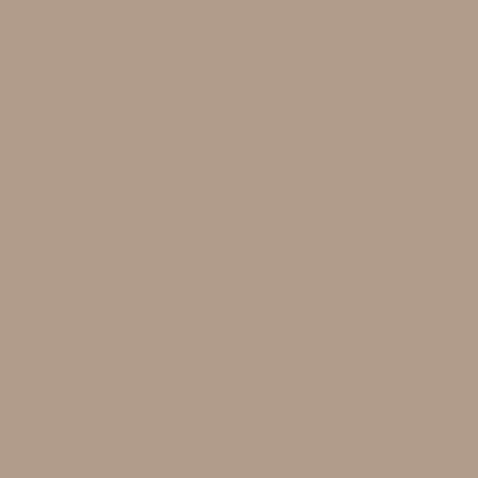 Lasselsberger COLOR ONE DONKERBEIGE BLINK. main image