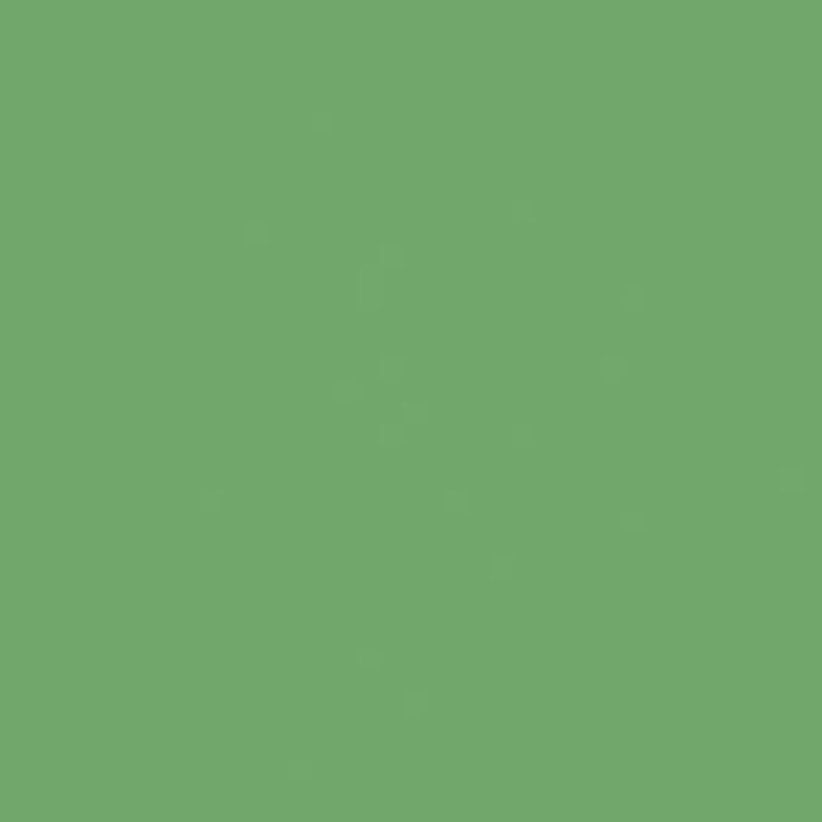 Lasselsberger COLOR ONE GROEN BLINK. main image