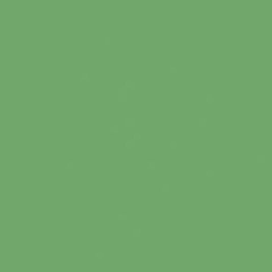 Lasselsberger COLOR ONE GROEN MAT main image