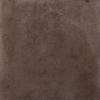 Contemporary Brown
