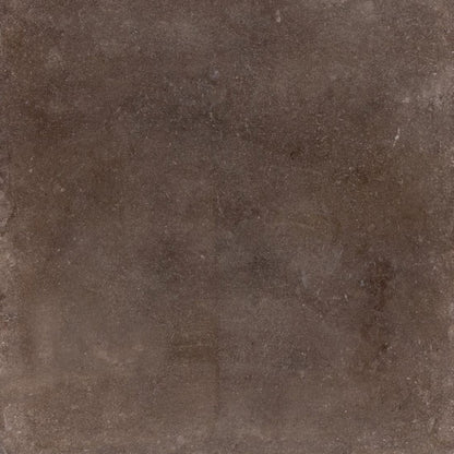 Contemporary Brown