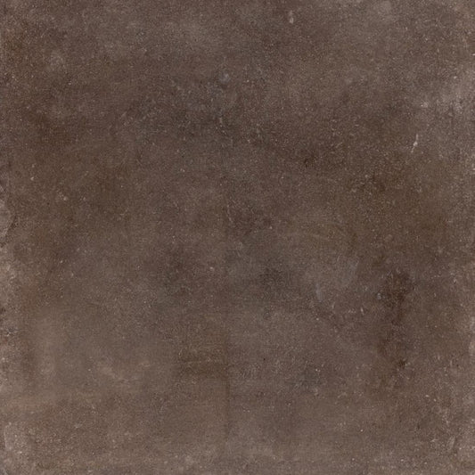 Contemporary Brown