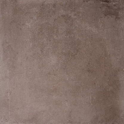 Contemporary Brown