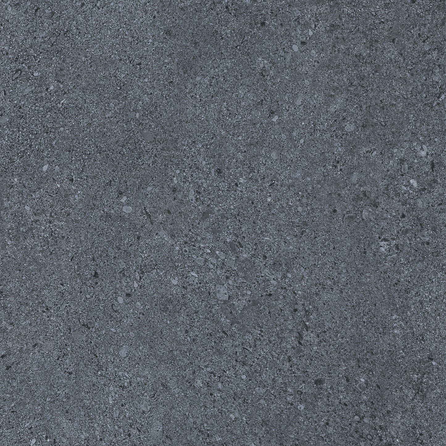 20Mm Dior Black main image