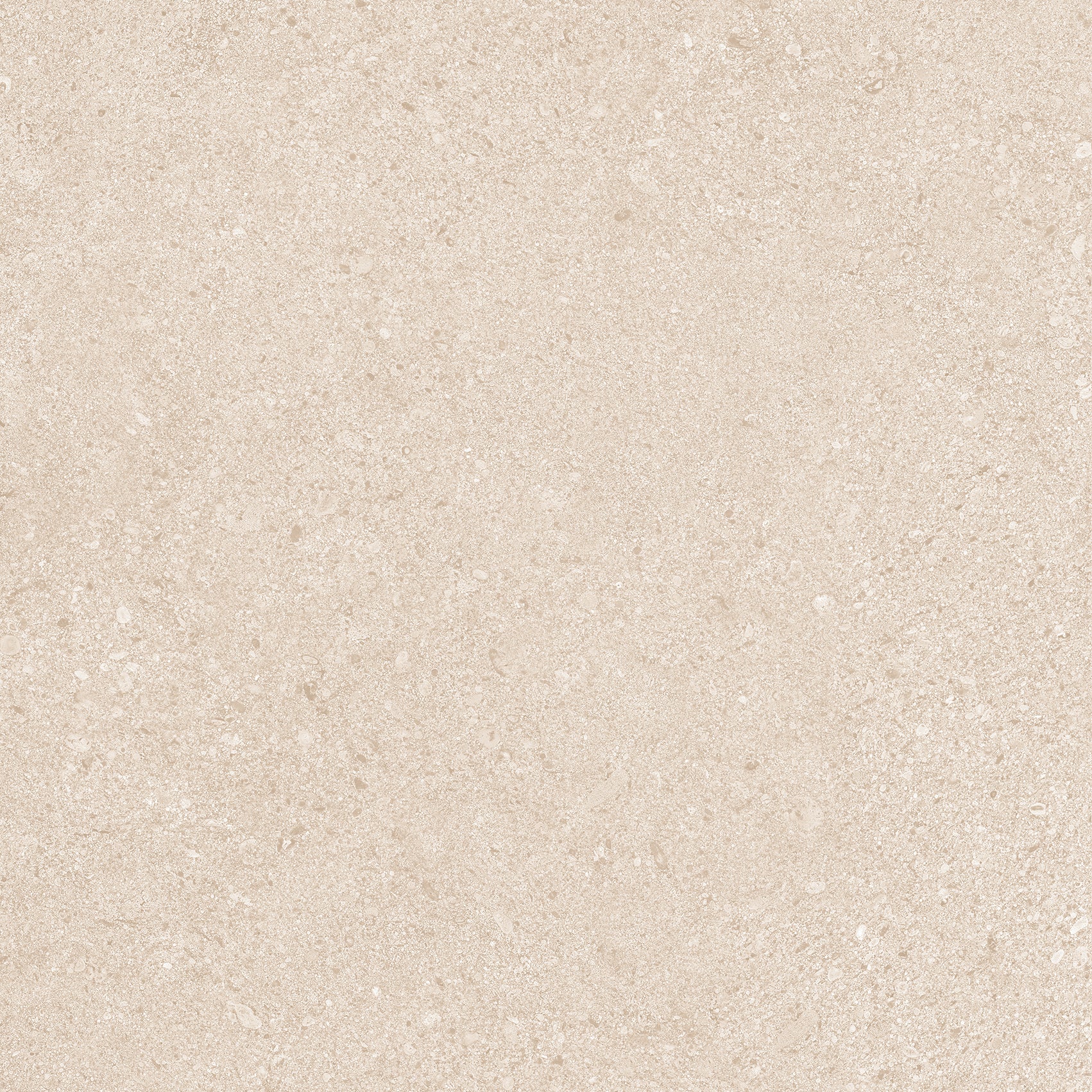 20Mm Dior Beige