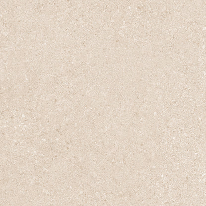 20Mm Dior Beige