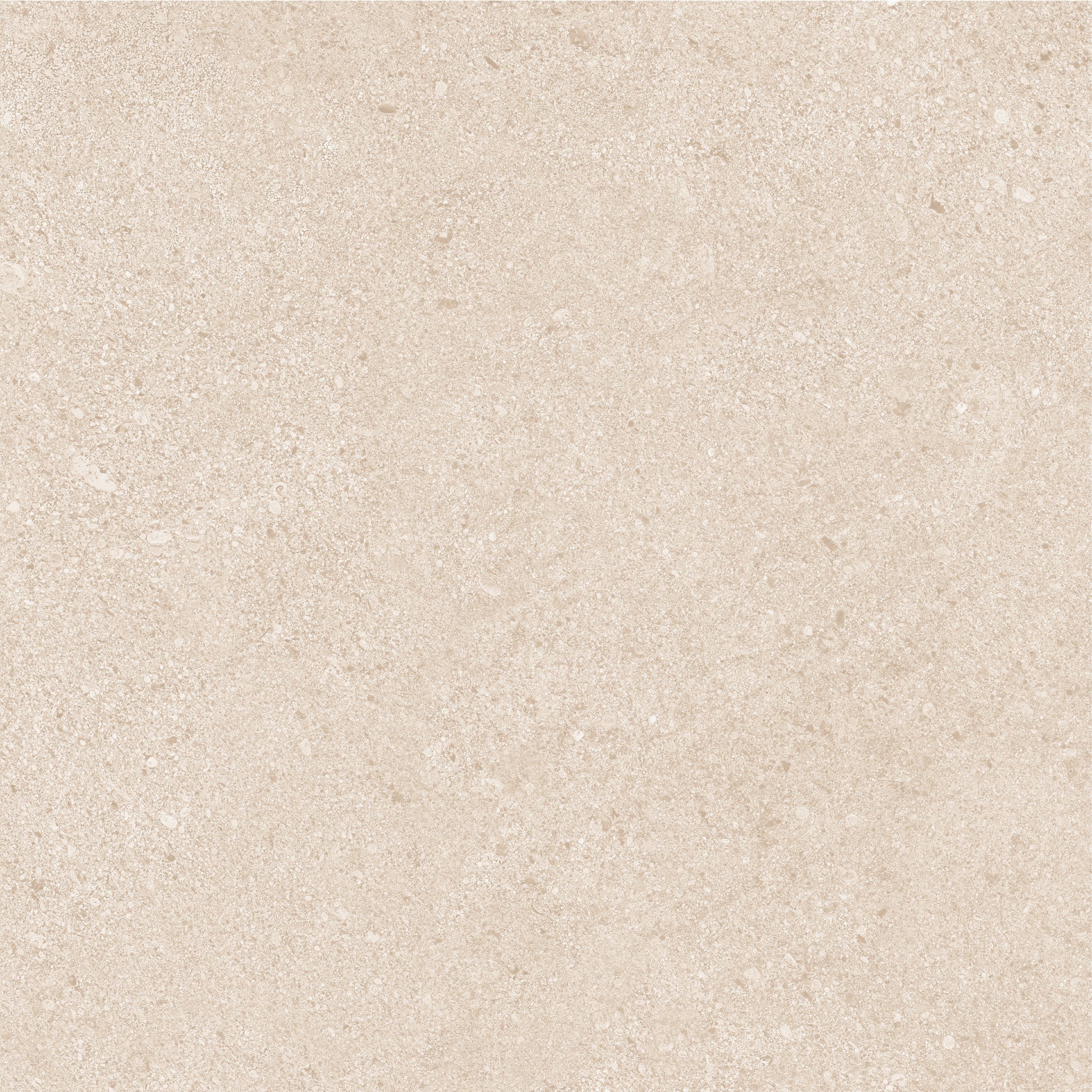 20Mm Dior Beige