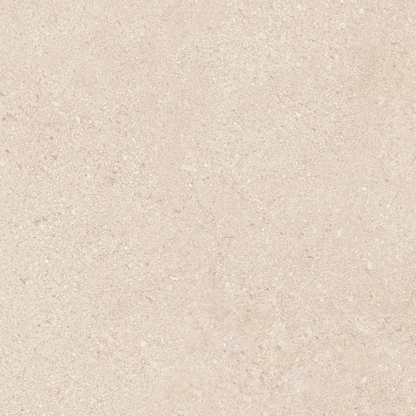 20Mm Dior Beige