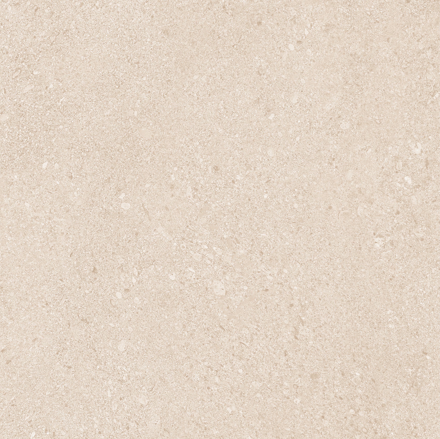 20Mm Dior Beige