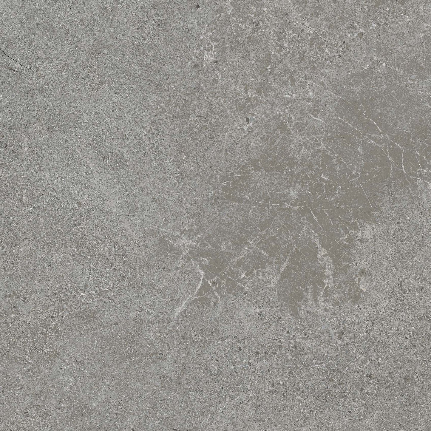 Authority Grey main image