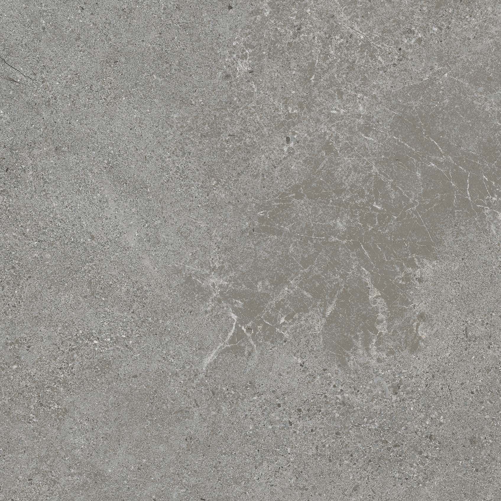 Authority Grey main image