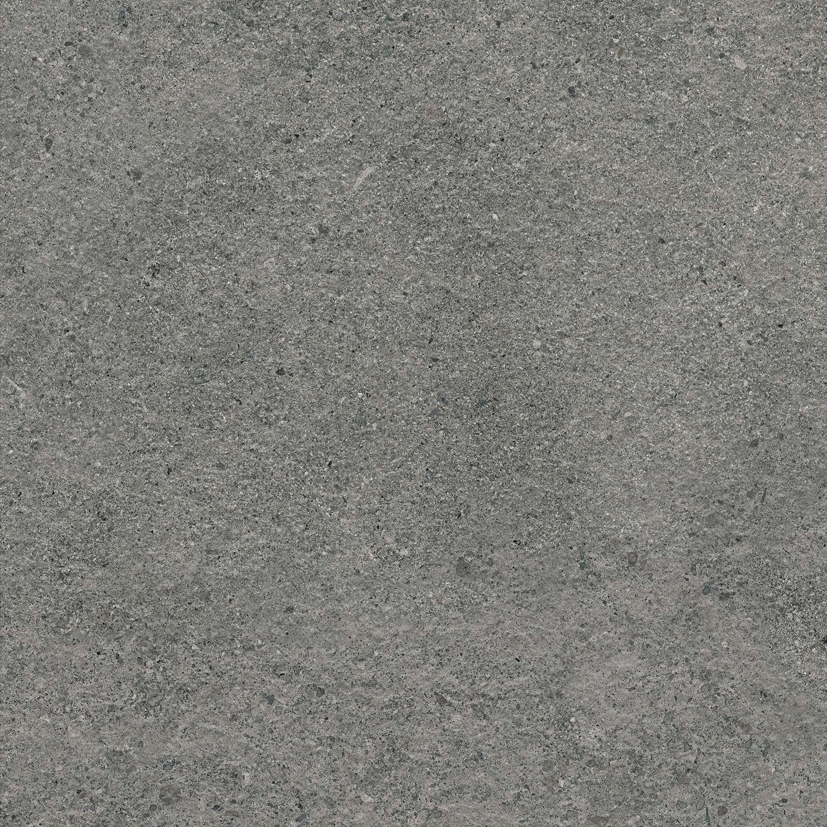 20Mm Authority Graphite