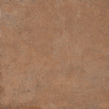 Sant’Agostino DUO BACK COTTO NAT. main image