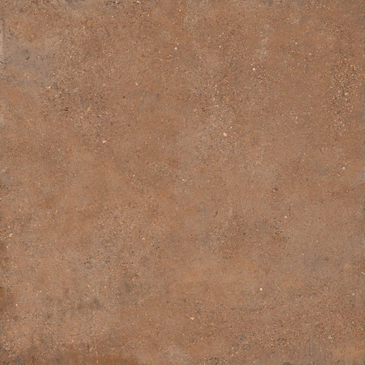 Sant’Agostino DUO BACK COTTO NAT. main image