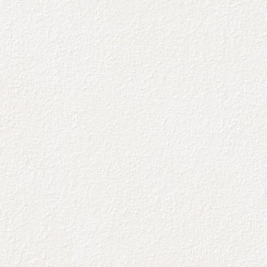 Lasselsberger BETONICO 20MM WHITE-GREY STRUCT. main image