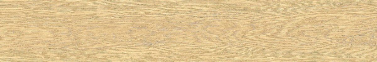 Edimax W3 CLASS AMBER NAT. main image