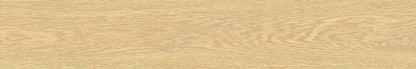 Edimax W3 CLASS AMBER NAT. main image