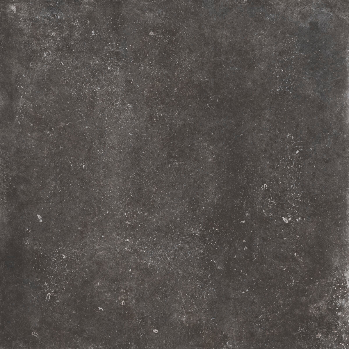 La Fabbrica BLUE EVOLUTION 20 BLACK STRUCT. main image