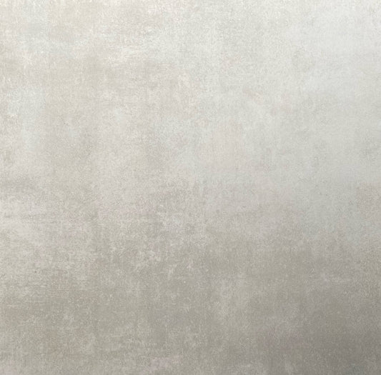 Shiba Grey
