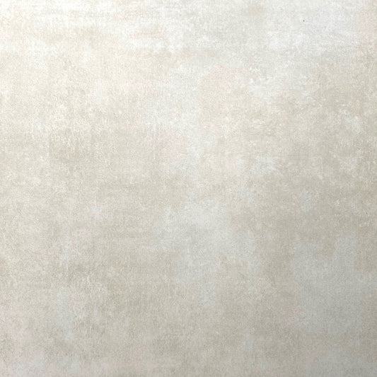 Shiba Light Grey