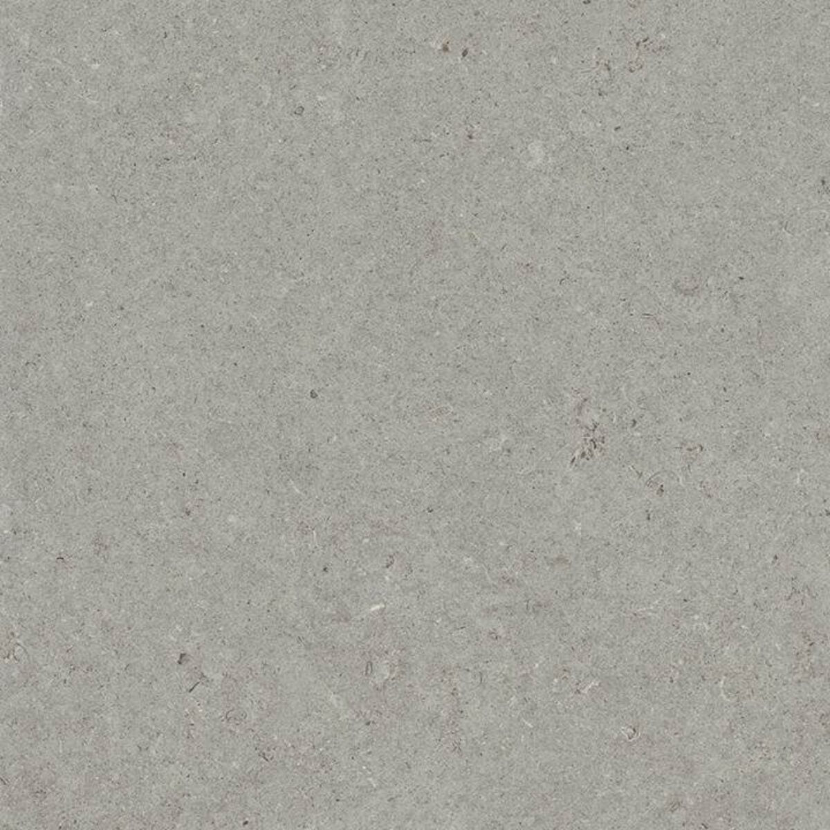 Panaria SURROUND SHAPE NAT. main image