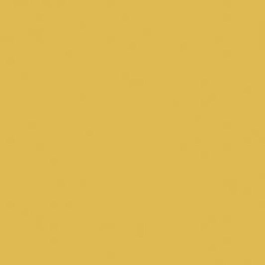 Lasselsberger COLOR ONE DONKERGEEL MAT main image