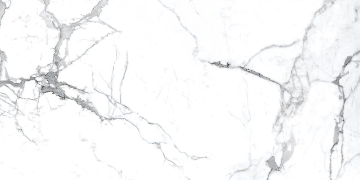 Navarti VENA ZOEY POLI main image